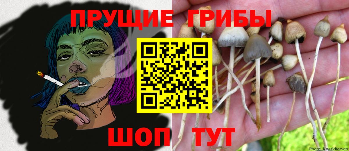 Галлюциногенные грибы мухоморы Гай