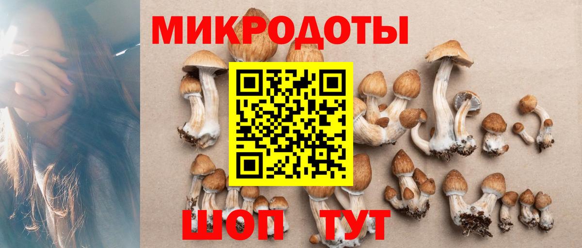 Псилоцибиновые грибы прущие грибы  купить наркотики сайты  Псилоцибиновые грибы мицелий  Гай  Вход с VPN 