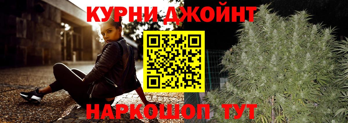 Бошки Шишки гибрид Гай